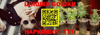 сатива Коммунар